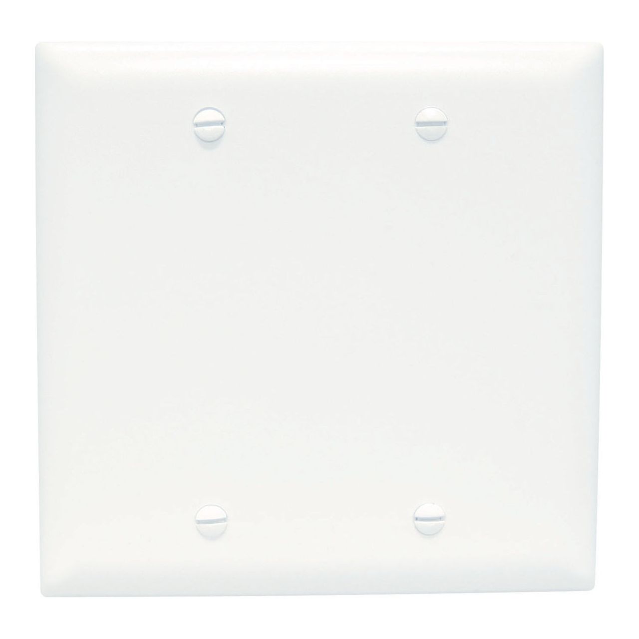 2-Gang Blank Nylon Wall Plate – White - Powers Electric Supply